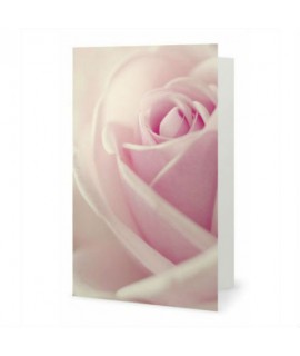 The Rose greeting card