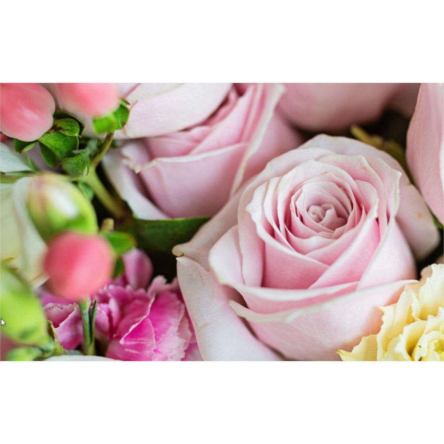 Best low-cost flowers delivery
